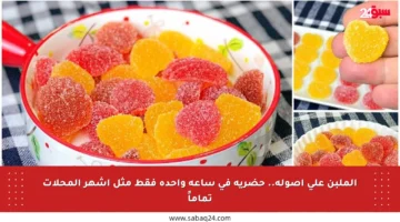 الملبن على أصوله.. حضريه في ساعة واحدة فقط مثل أشهر المحلات تماماً